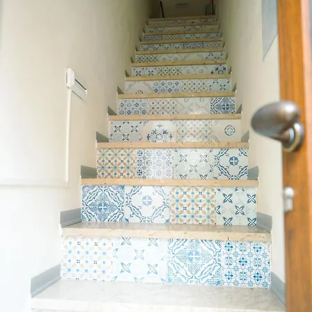 Alex Guest house