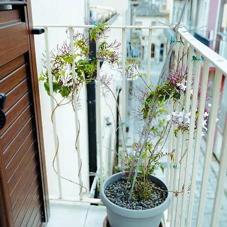 Гостевой дом Alex